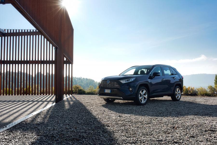 Toyota RAV4 Hybrid 2019 года  (WW) (фото 18 из 26)